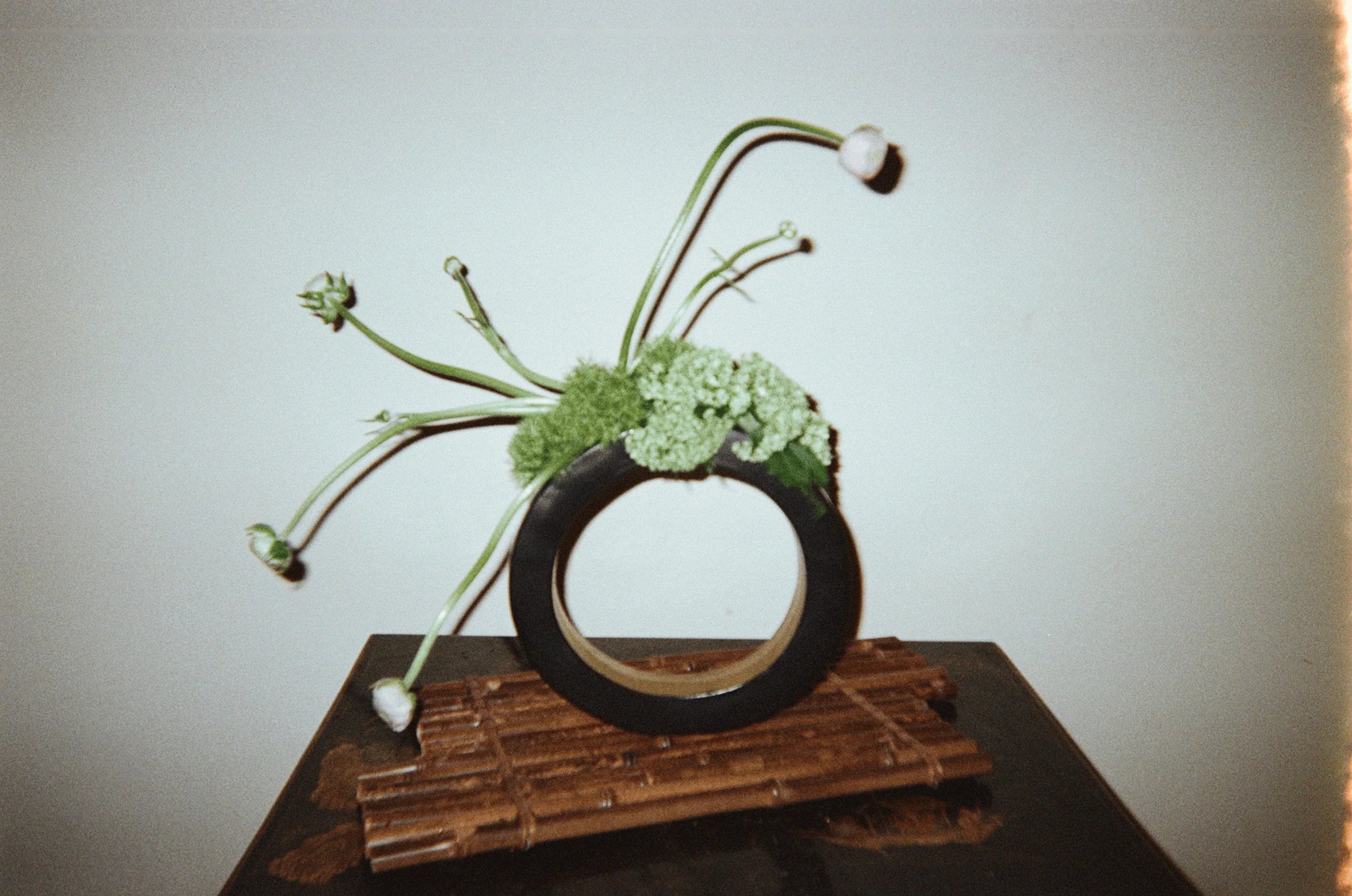 Musing on the relationship between Ikebana and Cardigan Knitwear.
