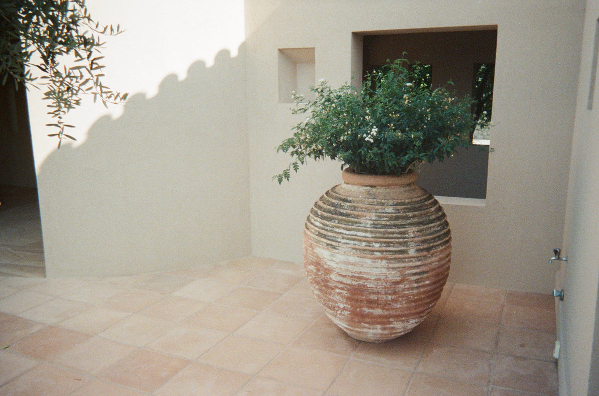 Petrothalassa
