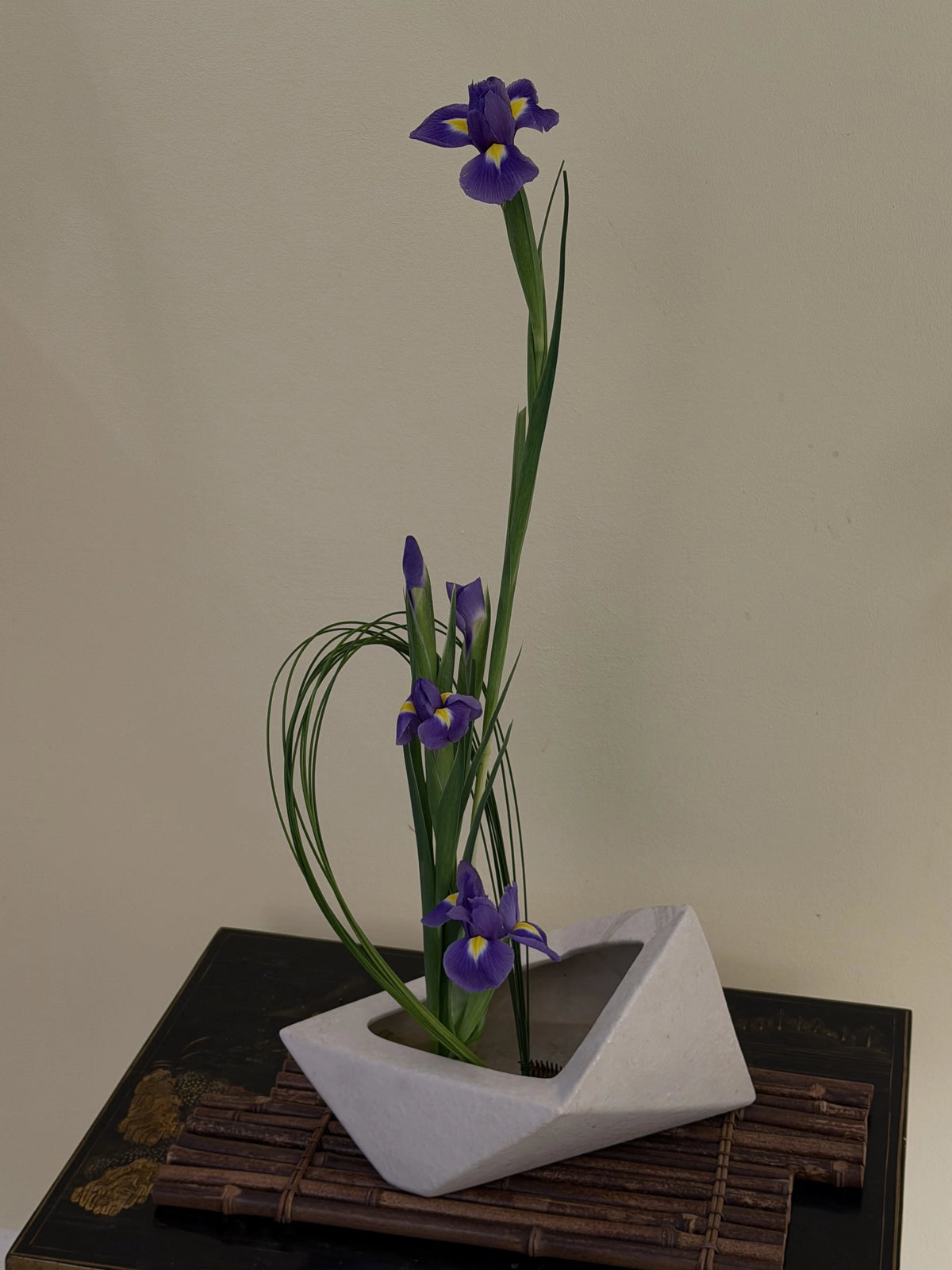 Iris freestyle Sogetsu Ikebana