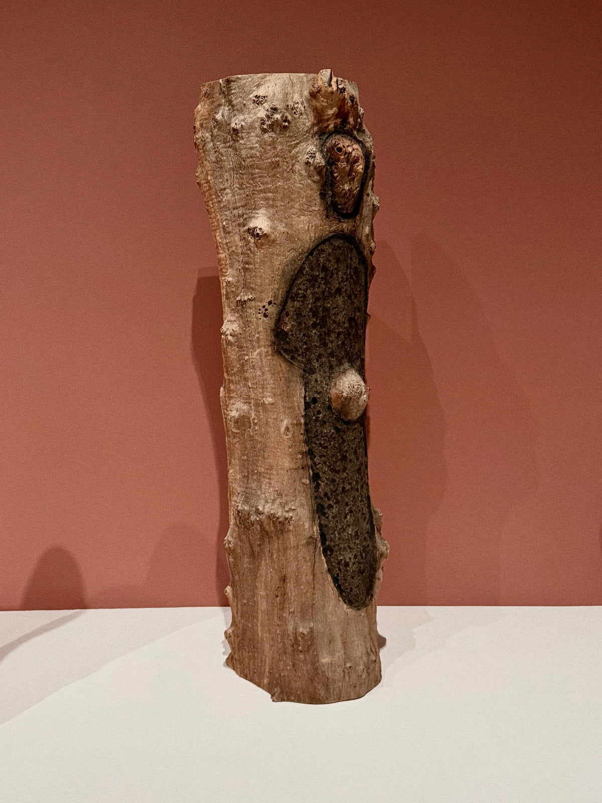 Ana Mendieta, Tate Modern